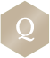 q-icon